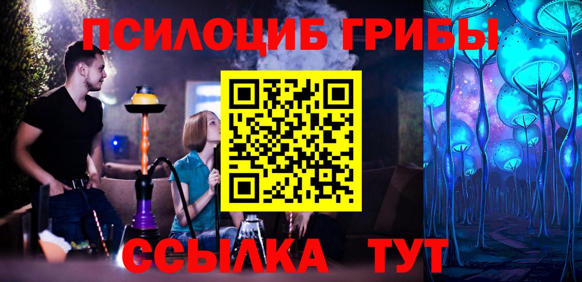 Псилоцибиновые грибы мицелий Щёлково